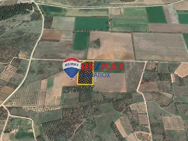 Αγροτεμάχιο 17 στρεμ στην Μάνδρα