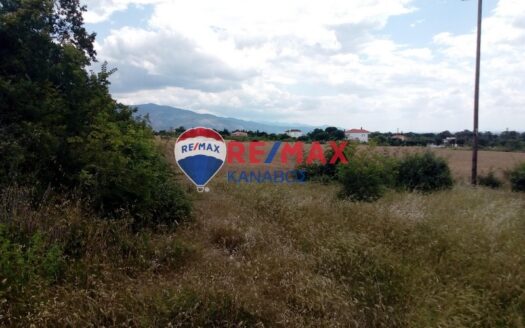 Αγροτεμάχιο 5970 τ.μ. στη Νέα Μορσίνη