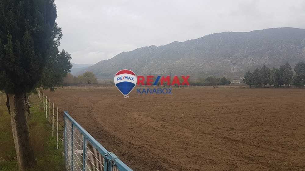 Οικόπεδο 6530 τ.μ.