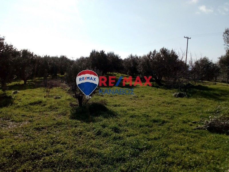 Μονοκατοικία 40 τ.μ.