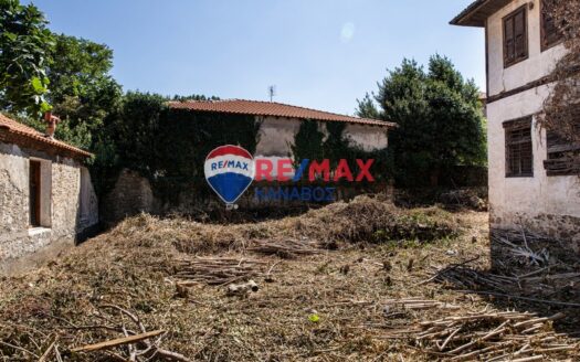 Μονοκατοικία 397 τ.μ.