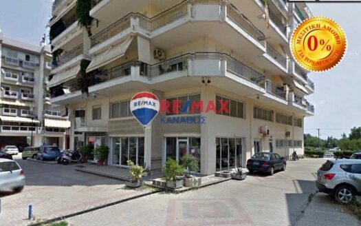 Επαγγελματικός χώρος 250 τ.μ.