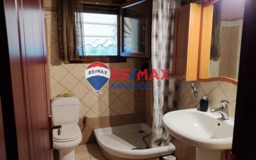 Μονοκατοικία 330 τ.μ.