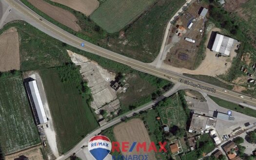 Οικόπεδο 6.500 τ.μ.