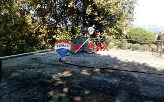 Μονοκατοικία 250 τ.μ.