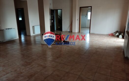 Μονοκατοικία 250 τ.μ.