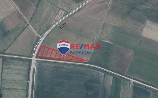 Αγροτεμάχιο 12 στρεμμάτων