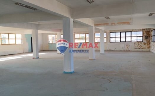 Επαγγελματικός χώρος 650 τ.μ.